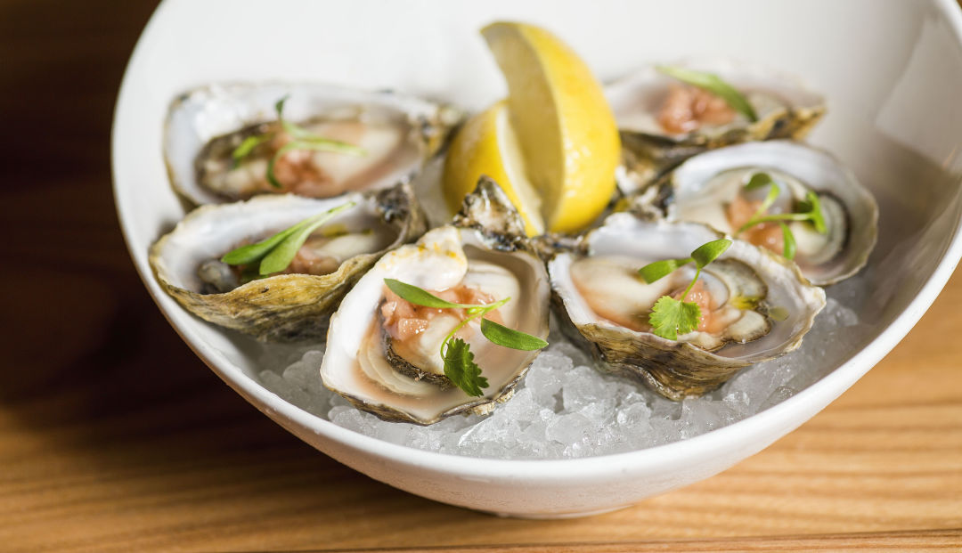 Kusshi_Oysters_hix5b1.jpg